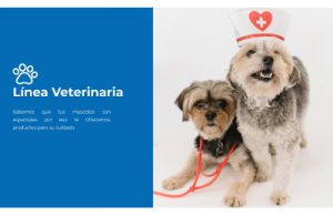 HQ ico linea veterinaria